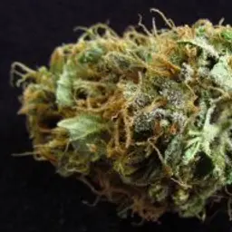 Novoreg123_inactive660626