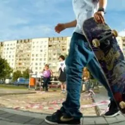 Alloe_inactive666054