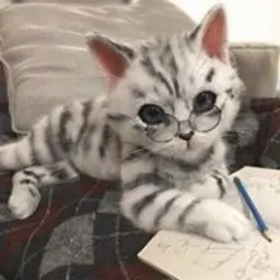 Pashkent_inactive703895