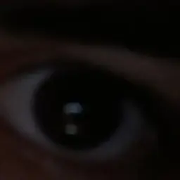 MEATBALLZ_inactive746125