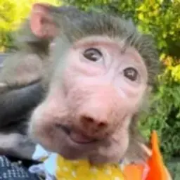 ганжубасик228