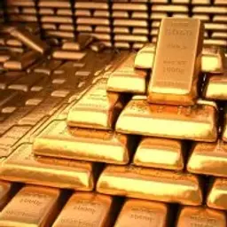 FireCA_inactive771522