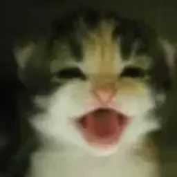 Девственница