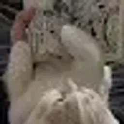 ksils_inactive7847959