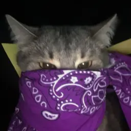 CYETA_inactive3700717