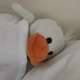 Roman13_inactive2704307