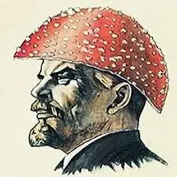 Мамонтенок777