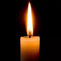 ПулковоПолиция