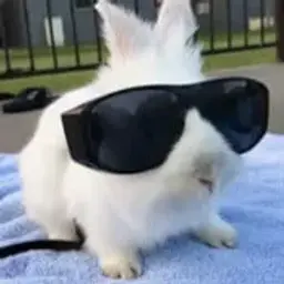 ЛёваСемечко