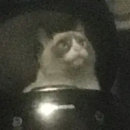 Mafioznik_inactive3617036