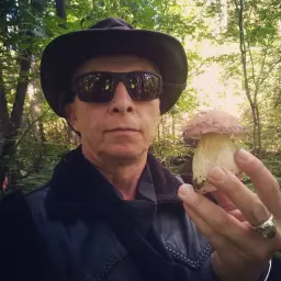 господингойды