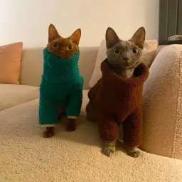 БанановыйКотя