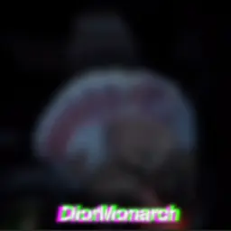 DiorMonarch