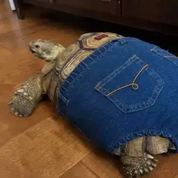 Волшебство