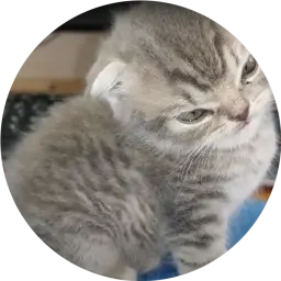 всемпоебать