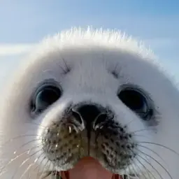 rizza23_inactive5847260