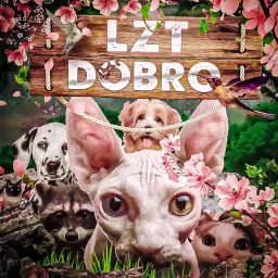 ЛысыйКотенок