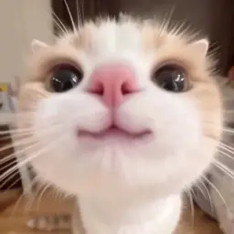 ялюблюпиво