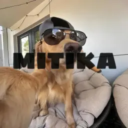 Mitika