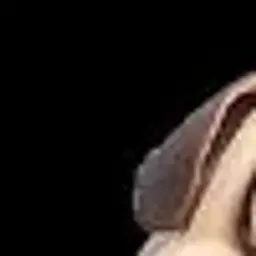 Лрполттииирр