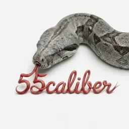 55caliber