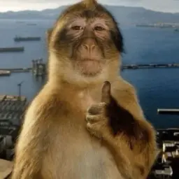 ГенДиректор