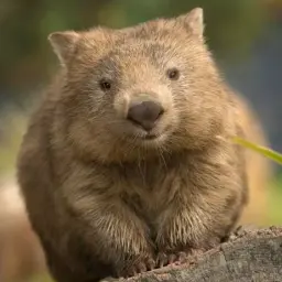 ДобрыйДруг