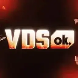 vdsok