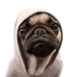 ПошлыйВампир2009