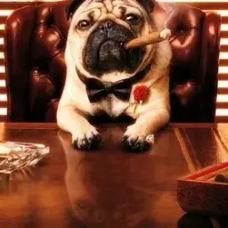 вышелпокурить