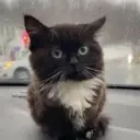 Nikitosss_inactive3055047