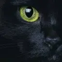 Jerry9_inactive2210140