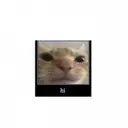 qwerttt_inactive2538153