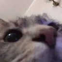 милфхантер1337