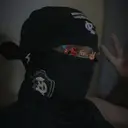 Troyan_inactive2455369