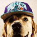 LaGGer_inactive_inactive