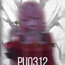 PUO312
