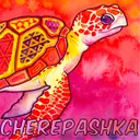 Cherepashka301