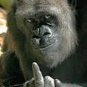 охреневающий