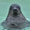 Филипп_inactive56411