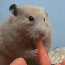 4cher_inactive107131