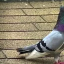 Missile_inactive201832