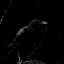 undecide_inactive640695