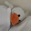 Roman13_inactive2704307