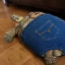 Волшебство