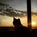 мефедроновый