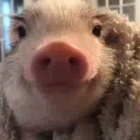 :pigsmile: