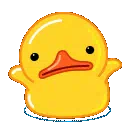 :duck_idk:
