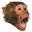 :monkey_shocked: