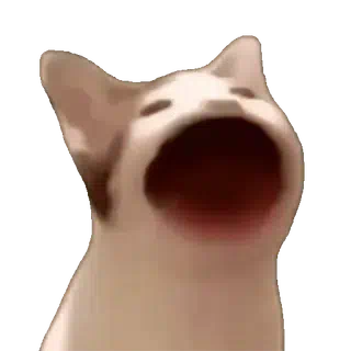 :popcat: